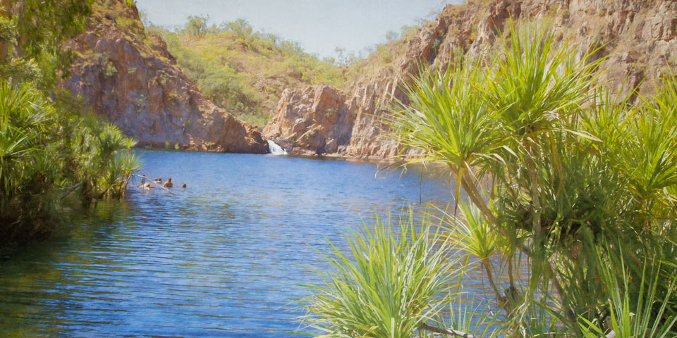 Swimmers at Leliyn Falls