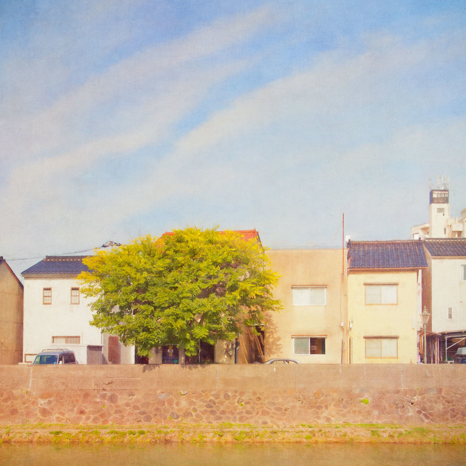 Houses along Asanogawa River