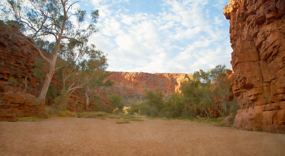 Trephine Gorge Early Morning