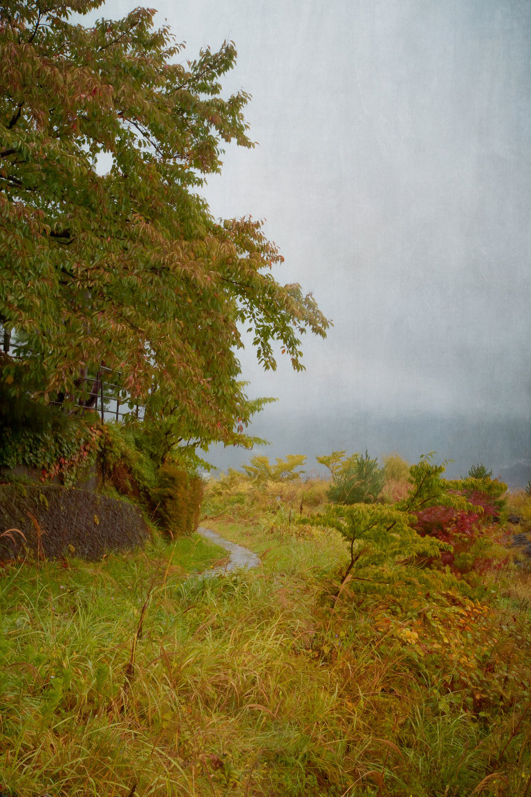 Path beside Lake Kawaguchiko